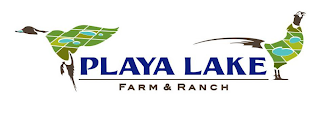 PLAYA LAKE FARM & RANCH