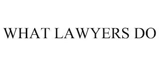 WHAT LAWYERS DO