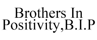 BROTHERS IN POSITIVITY,B.I.P