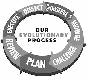 OUR EVOLUTIONARY PROCESS DISSECT OBSERVE INQUIRE CHALLENGE PLAN REVIEW EXECUTE