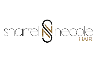 SHANTEL NECOLE HAIR SN