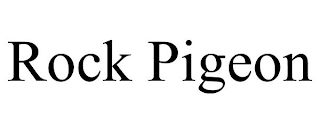 ROCK PIGEON