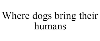 WHERE DOGS BRING THEIR HUMANS