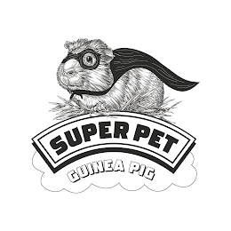 SUPER PET GUINEA PIG