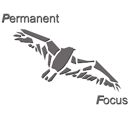 PERMANENT FOCUS