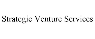 STRATEGIC VENTURE SERVICES