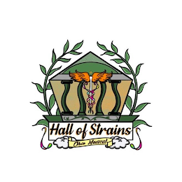 THE HALL OF STRAINS OHIO MEDICAL