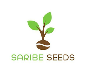 SARIBE SEEDS