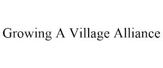 GROWING A VILLAGE ALLIANCE