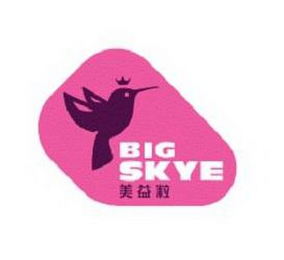 BIG SKYE
