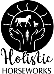 HOLISTIC HORSEWORKS