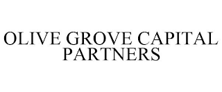 OLIVE GROVE CAPITAL PARTNERS