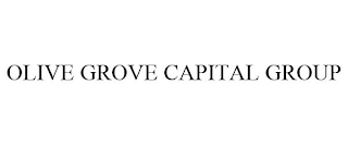 OLIVE GROVE CAPITAL GROUP