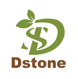 DS DSTONE