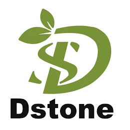 DS DSTONE