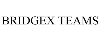 BRIDGEX TEAMS