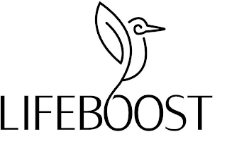 LIFEBOOST