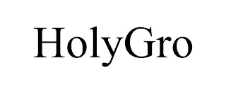 HOLYGRO