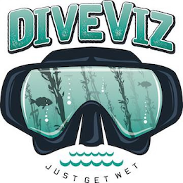 DIVEVIZ JUST GET WET