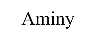 AMINY