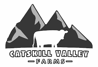 CATSKILL VALLEY FARMS