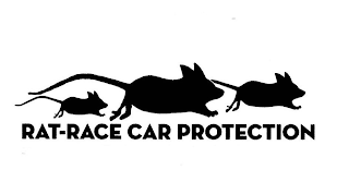 RAT-RACE CAR PROTECTION