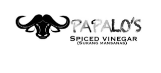 PAPALO'S SPICED VINEGAR (SUKANG MANSANAS)