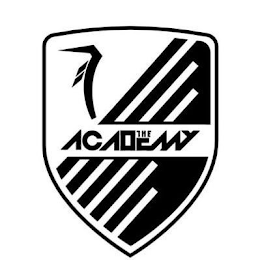 THE ACADEMY