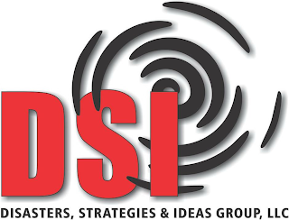 DSI DISASTERS, STRATEGIES & IDEAS GROUP, LLC