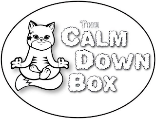 THE CALM DOWN BOX