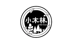 LITTLE FOREST