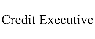 CREDIT EXECUTIVE