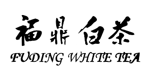 FUDING WHITE TEA