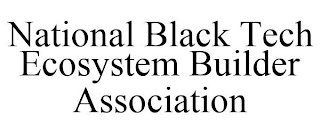 NATIONAL BLACK TECH ECOSYSTEM BUILDER ASSOCIATION