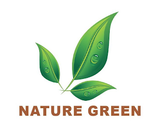 NATURE GREEN