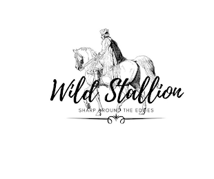 WILD STALLION SHARP AROUND THE EDGES
