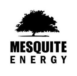 MESQUITE ENERGY