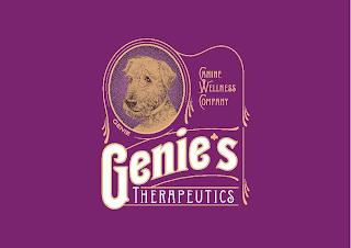 GENIES THERAPEUTICS