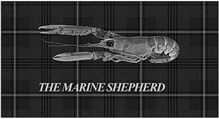 THE MARINE SHEPHERD