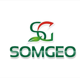 SG SOMGEO