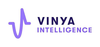 V VINYA INTELLIGENCE