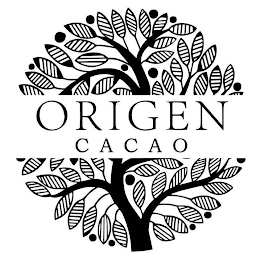 ORIGEN CACAO