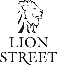 LION STREET