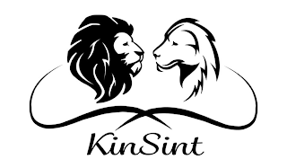 KINSINT