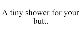 A TINY SHOWER FOR YOUR BUTT.