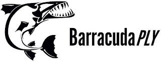 BARRACUDAPLY