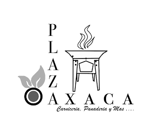 PLAZA OAXACA CARNICERIA, PANEDERIA Y MAS....