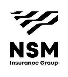 NSM INSURANCE GROUP