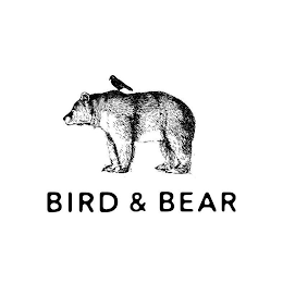 BIRD & BEAR