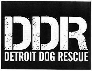 DDR DETROIT DOG RESCUE